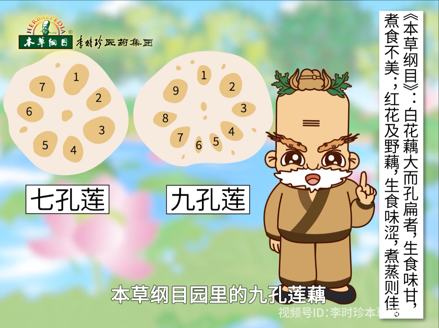 大暑节气，宜食莲藕，更宜麝香三伏灸，扶阳驱寒，祛除冬病